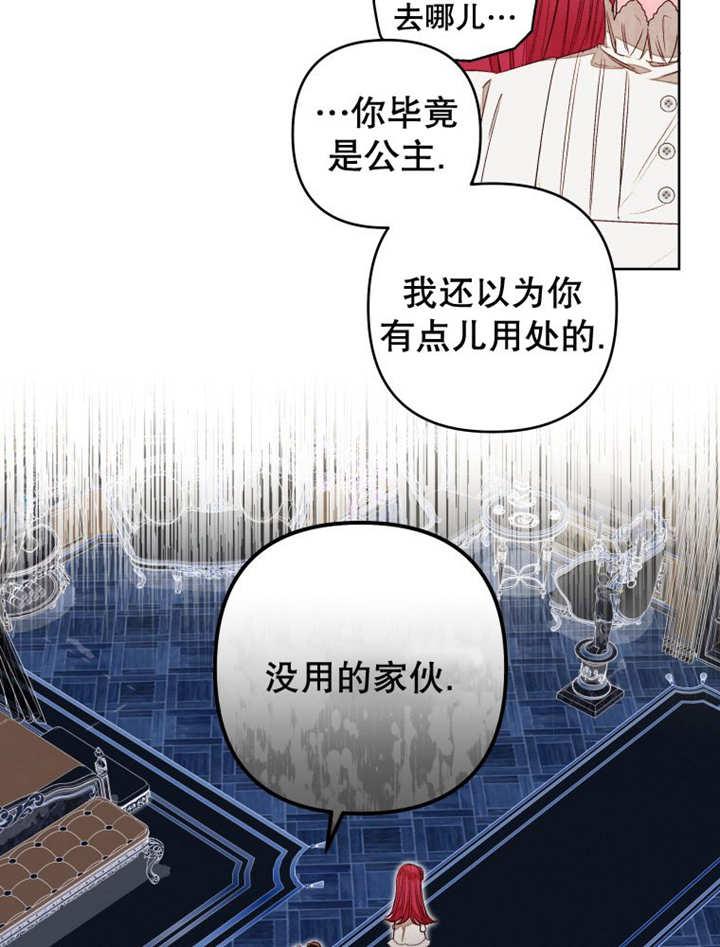 第14话-比起公主，侍女才是我的天职-（第11张）