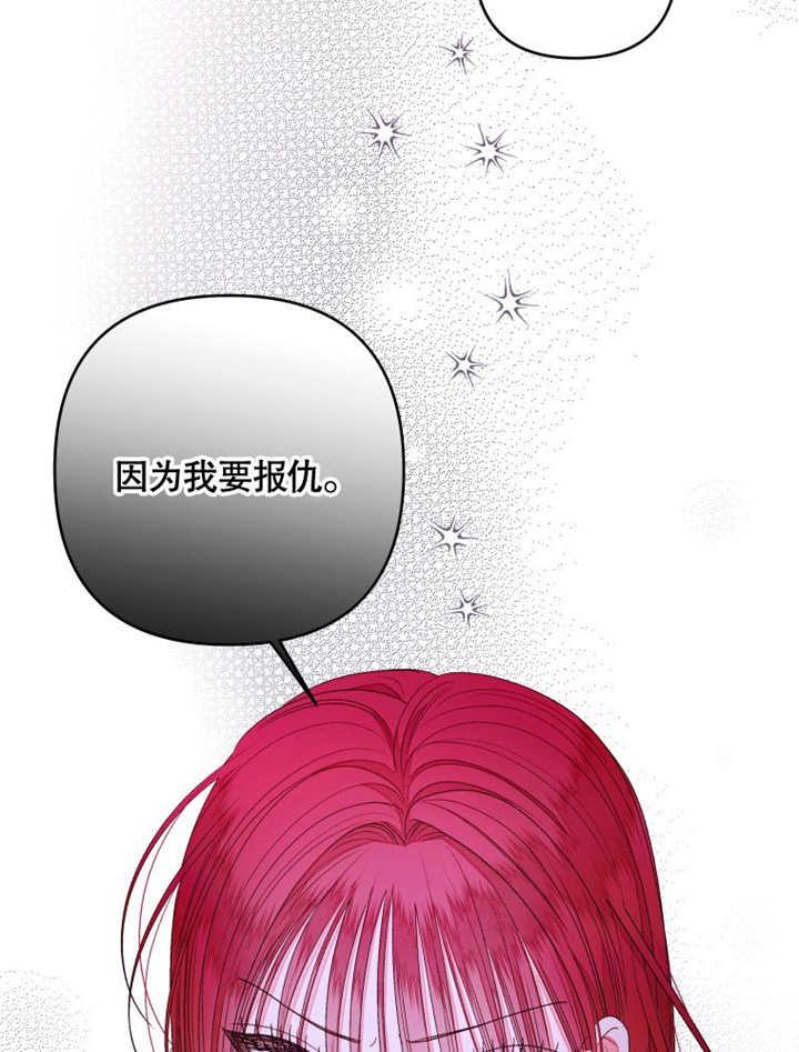 第23话-比起公主，侍女才是我的天职-[db:作者]（第20张）