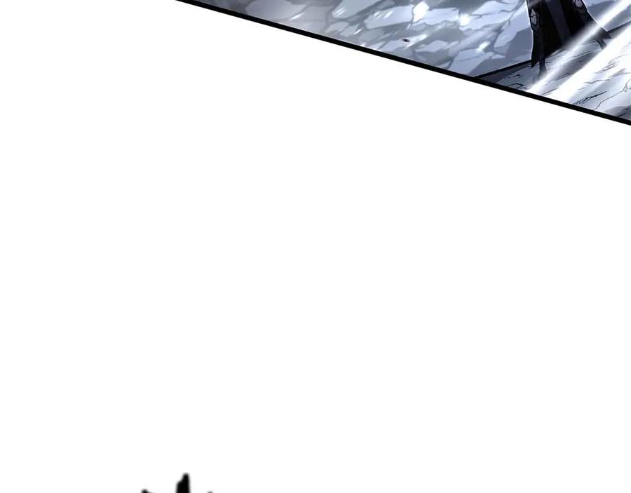 204.jpg
