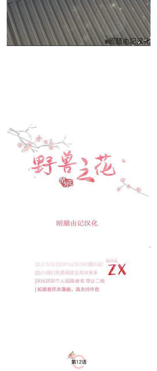 第12话-闭月花·野兽之花-월 연재（第5张）