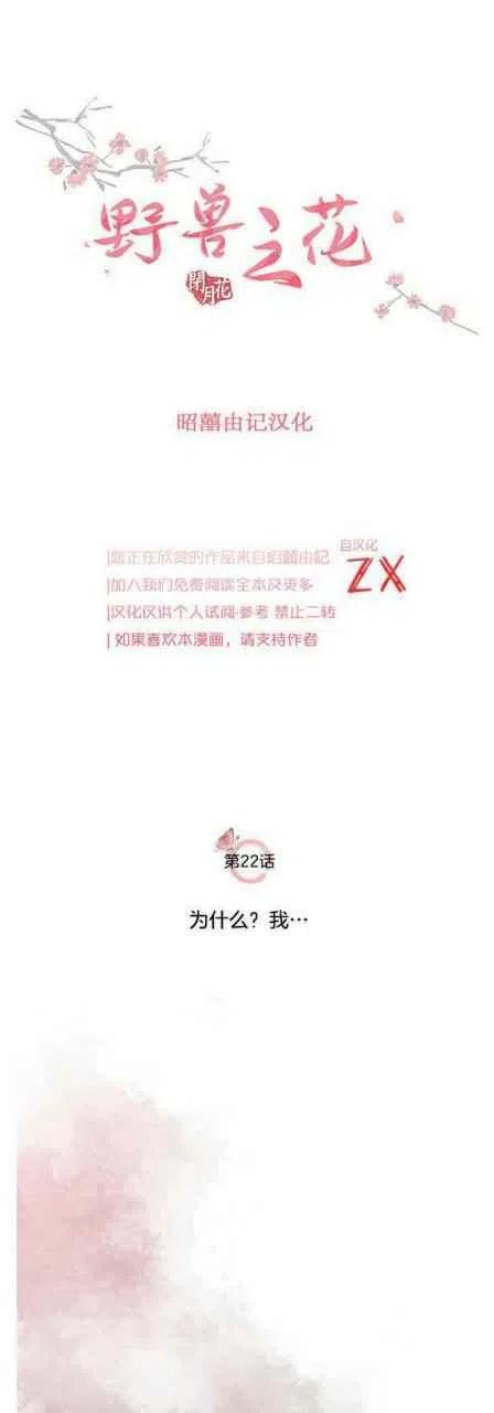 第22话-闭月花·野兽之花-월 연재（第5张）