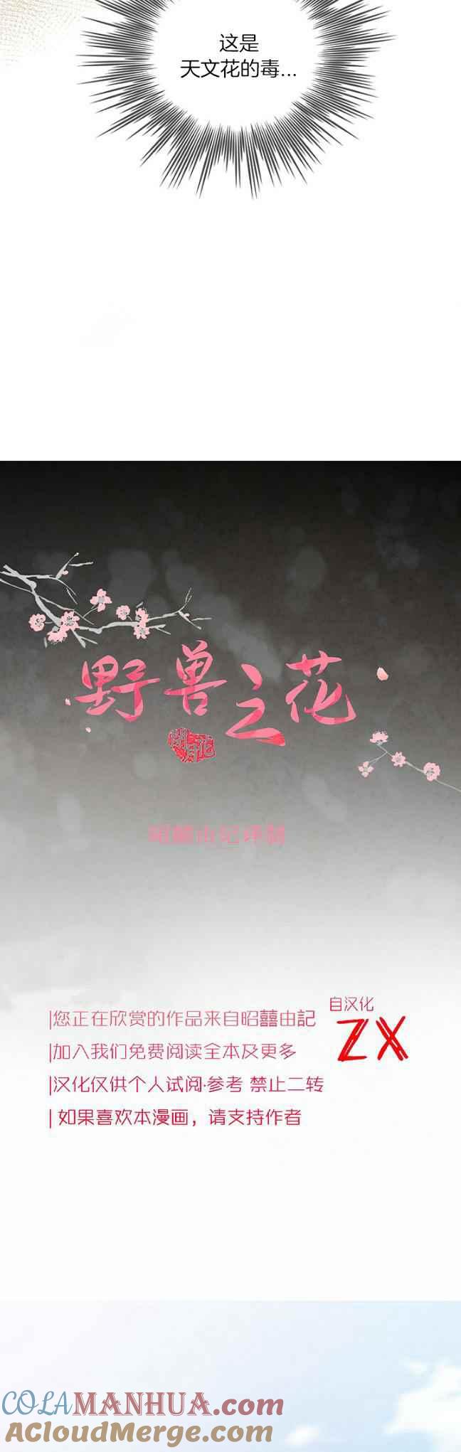 第40话-闭月花·野兽之花-월 연재（第9张）