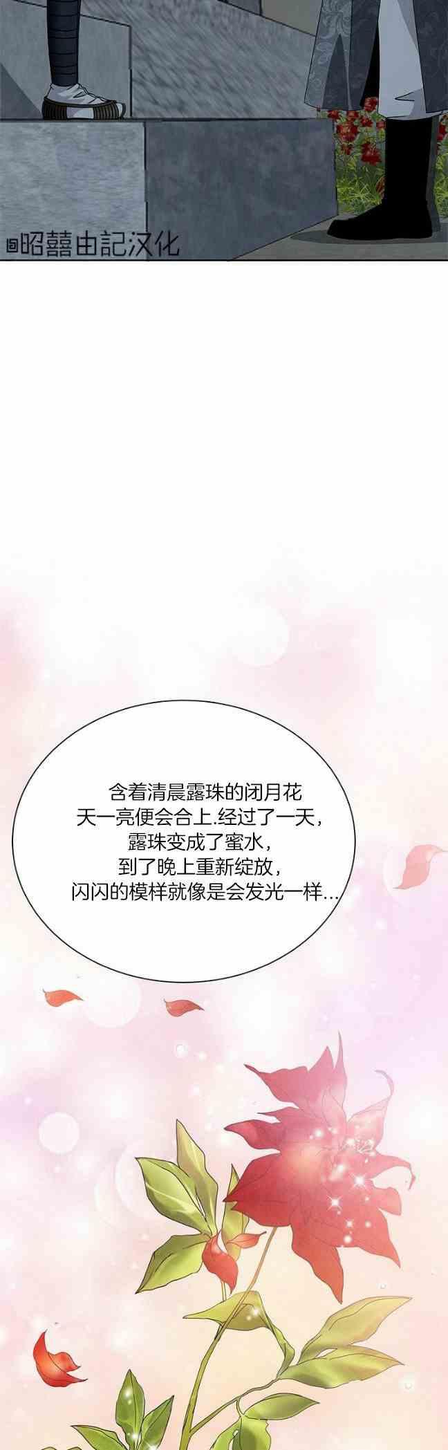 第45话-闭月花·野兽之花-월 연재（第28张）
