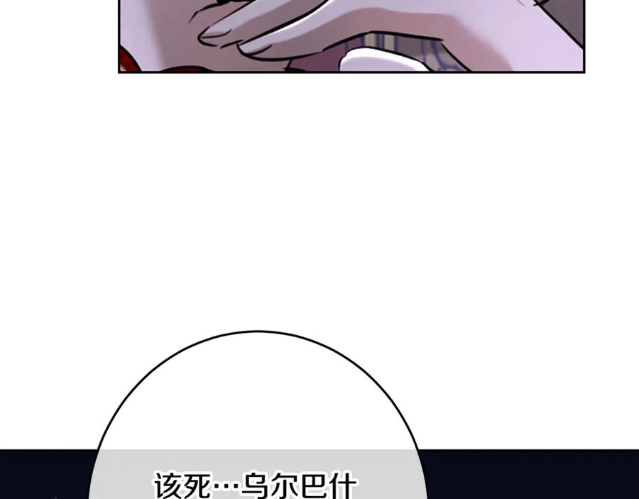223.jpg