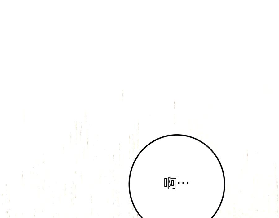 296.jpg