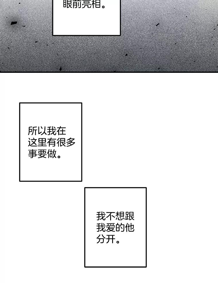 81.jpg