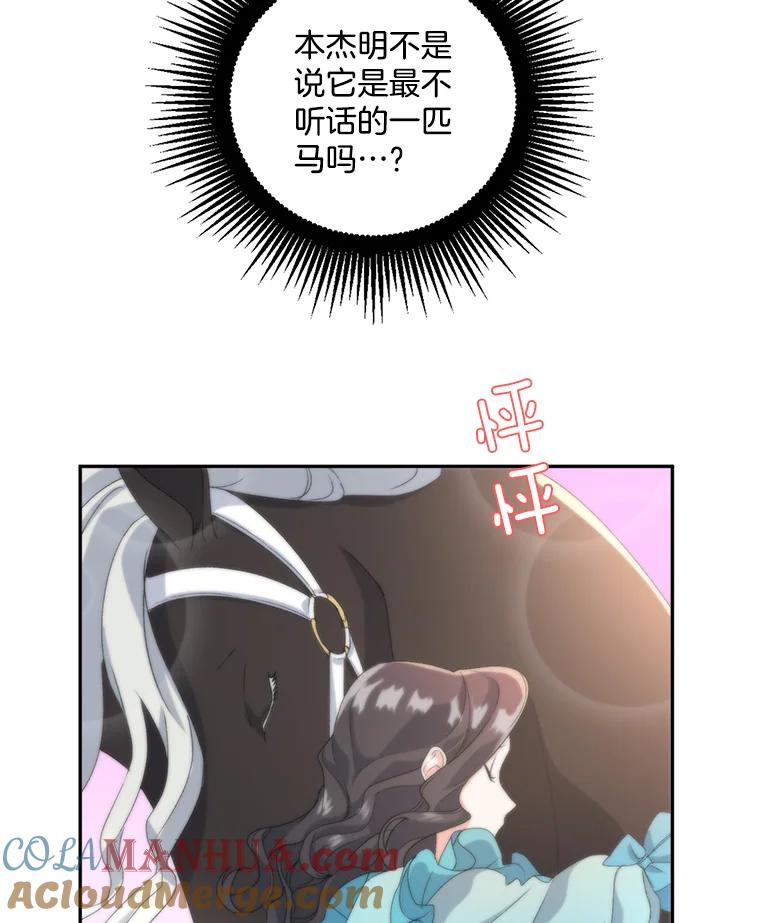 67.jpg