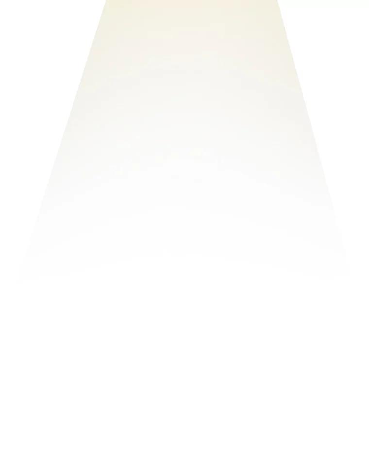 98.jpg