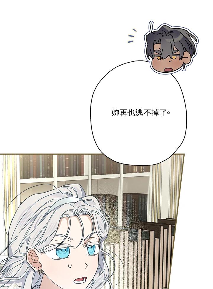 91.jpg