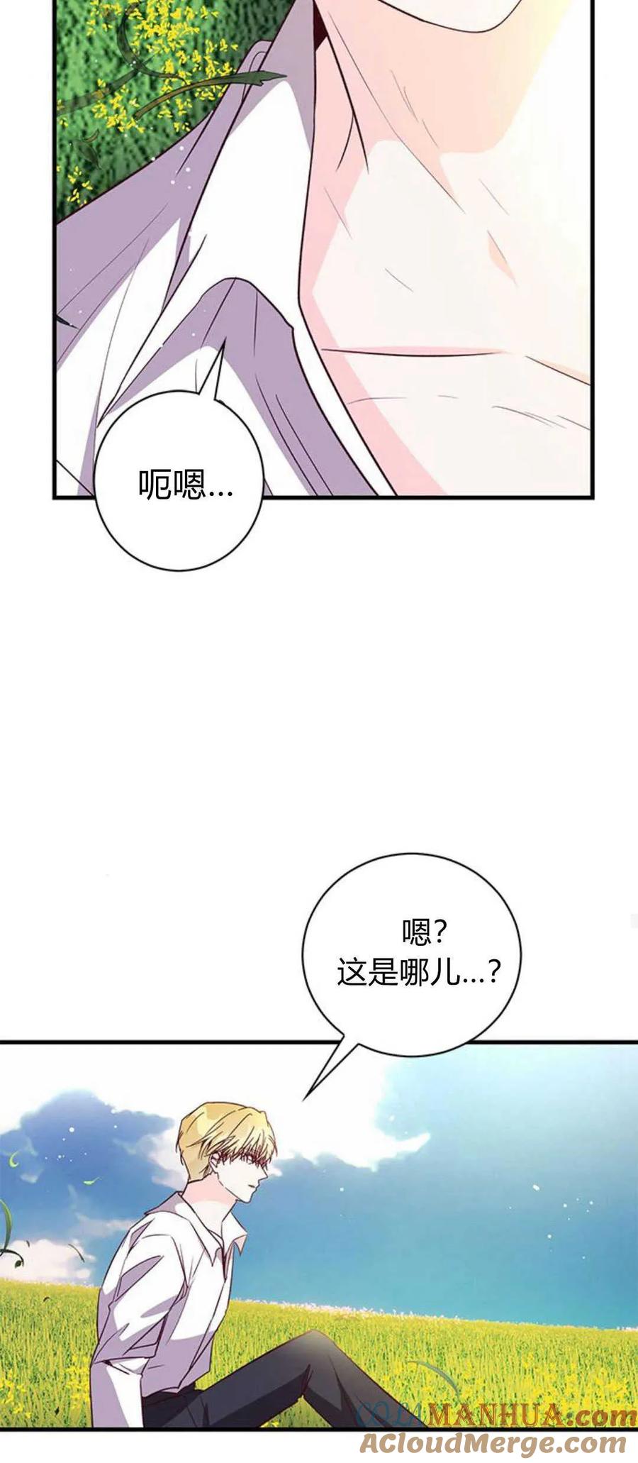 第80话-伯爵小姐的双重生活-캄보디아（第25张）