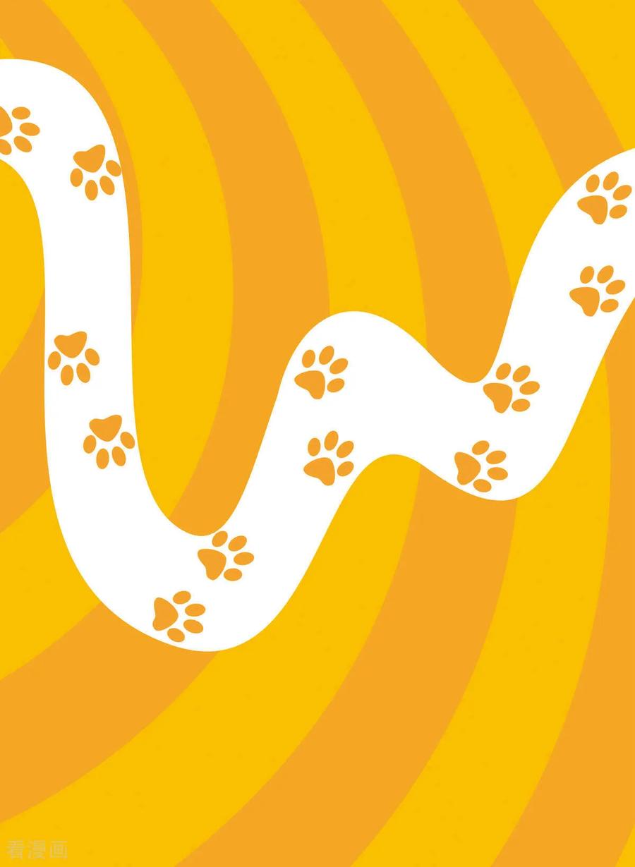 第21话-虹猫蓝兔快乐数学-虹猫蓝兔（第2张）