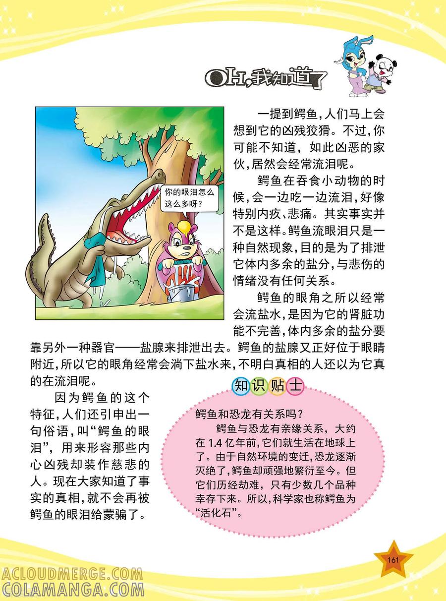 第39话-虹猫蓝兔十万个为什么-虹猫蓝兔（第2张）