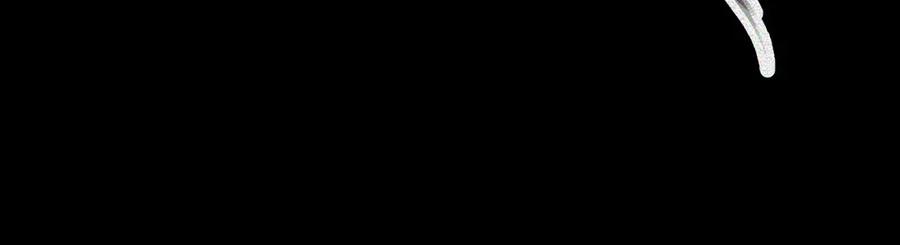 96.jpg