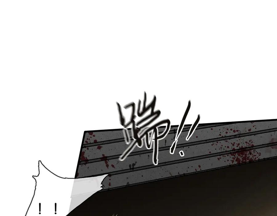 100.jpg