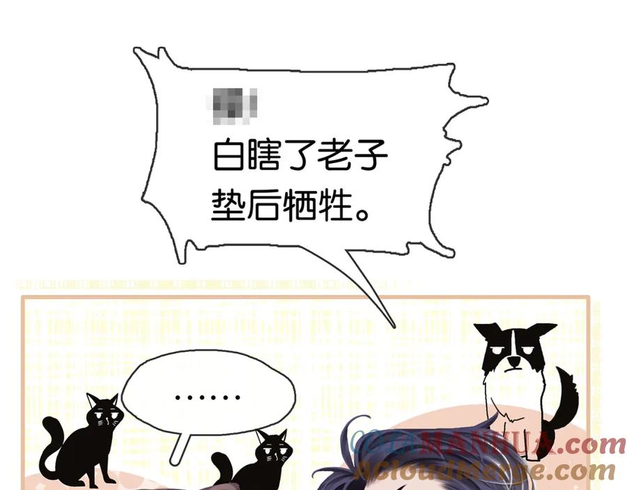 141.jpg