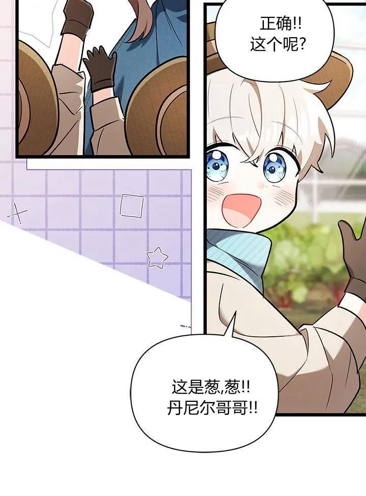 62.jpg