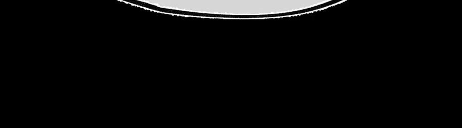 190.jpg