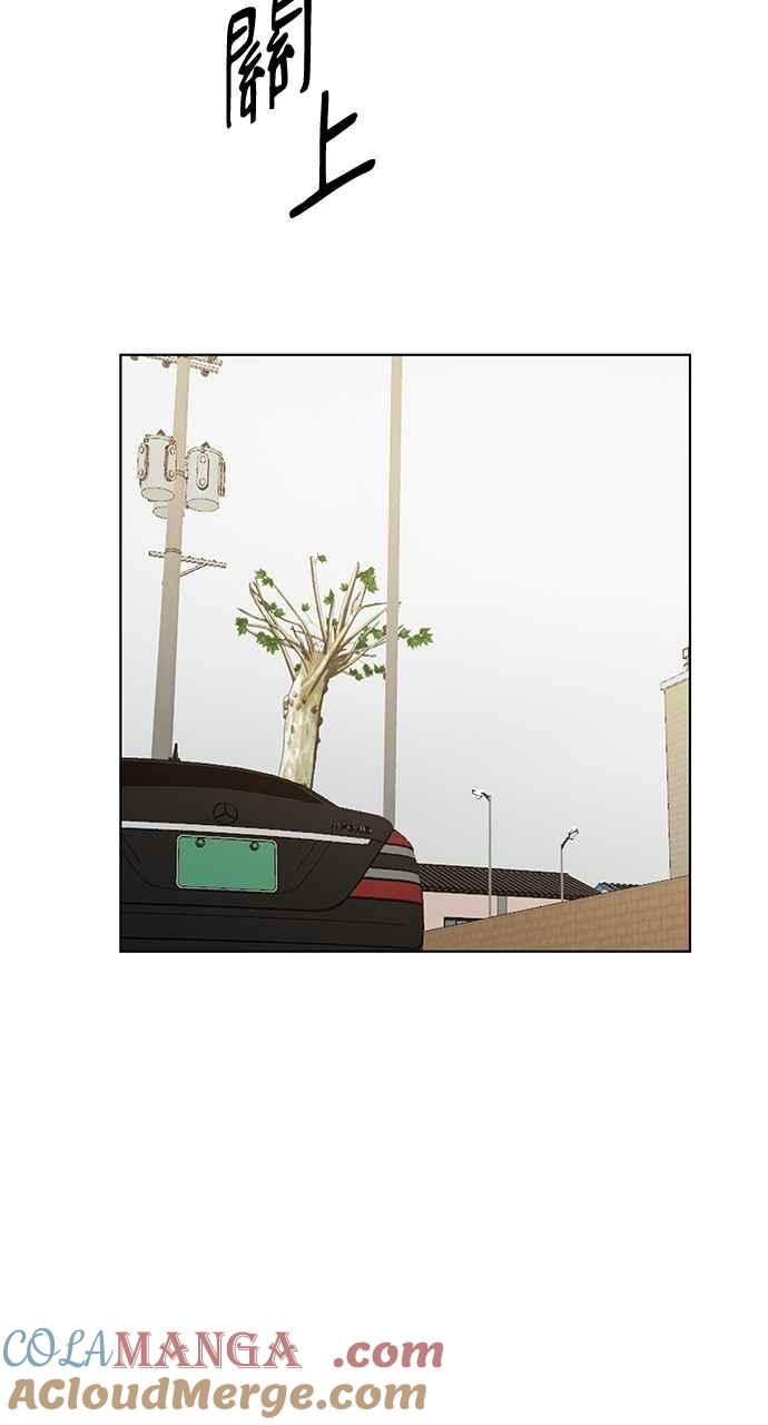 77.jpg