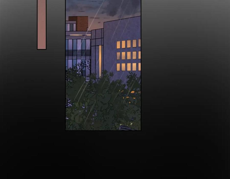 96.jpg