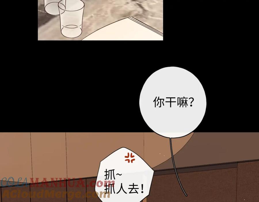 77.jpg