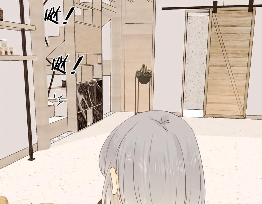 51.jpg