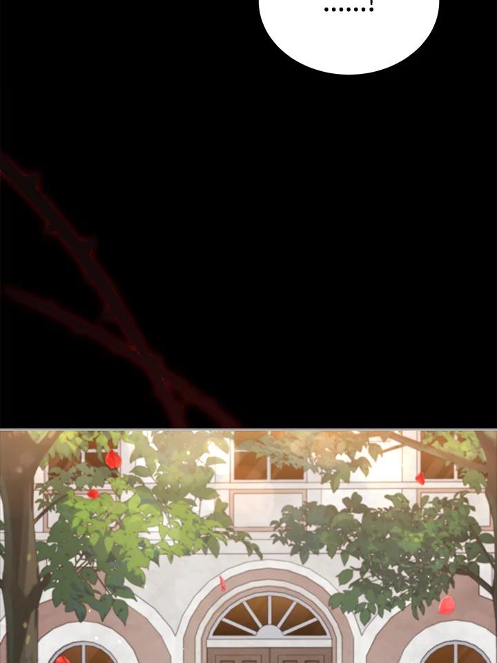 84.jpg