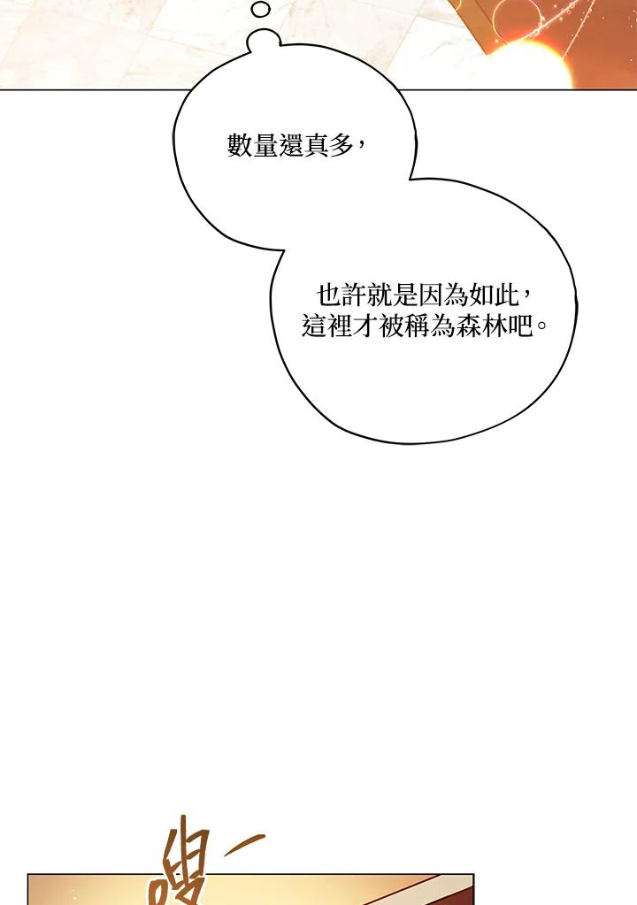 67.jpg