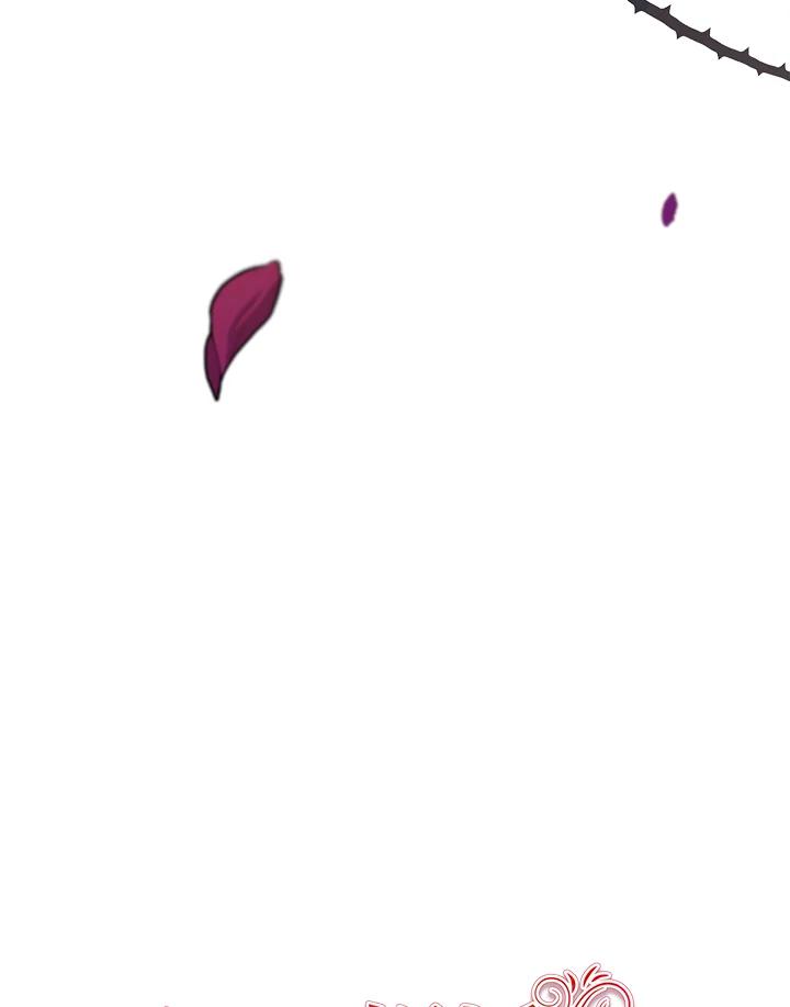 95.jpg