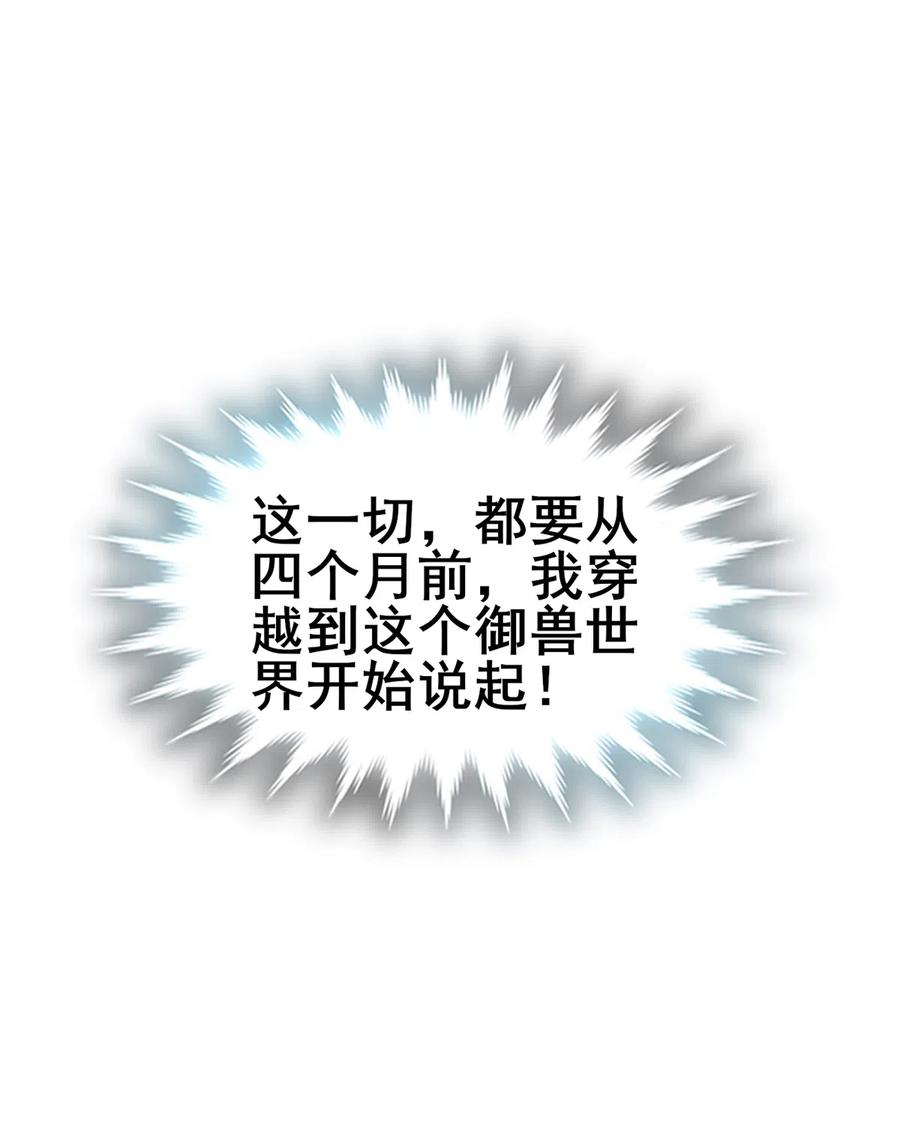 51.jpg