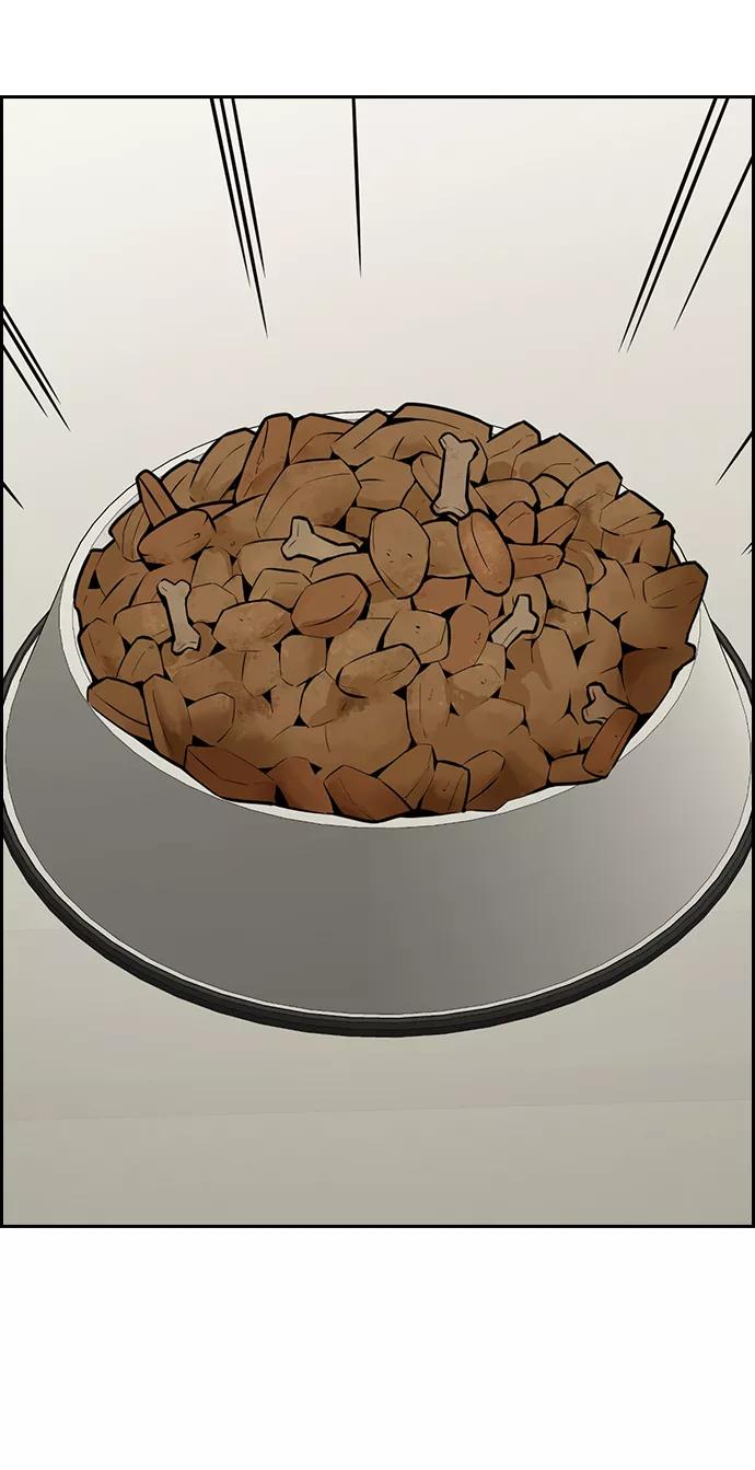 51.jpg
