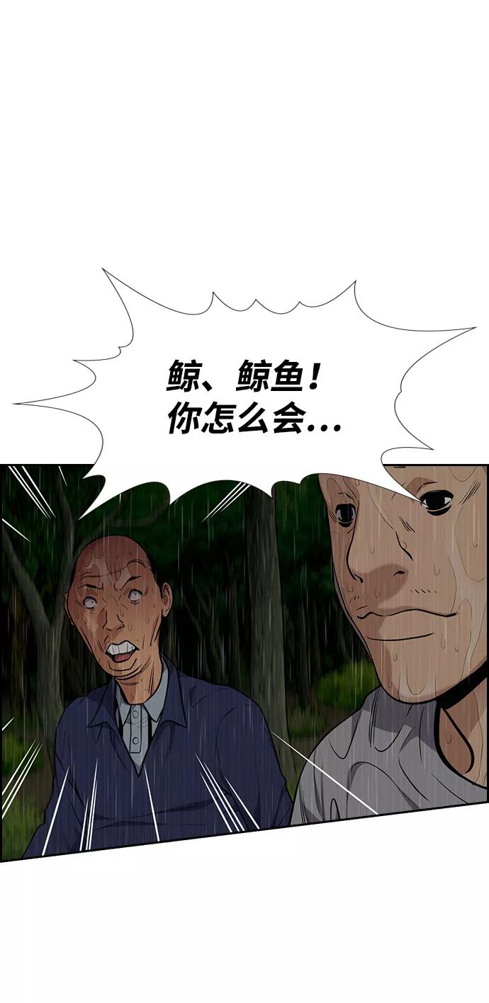 53.jpg