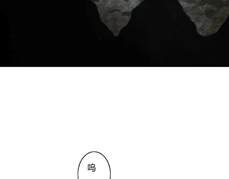 74.jpg