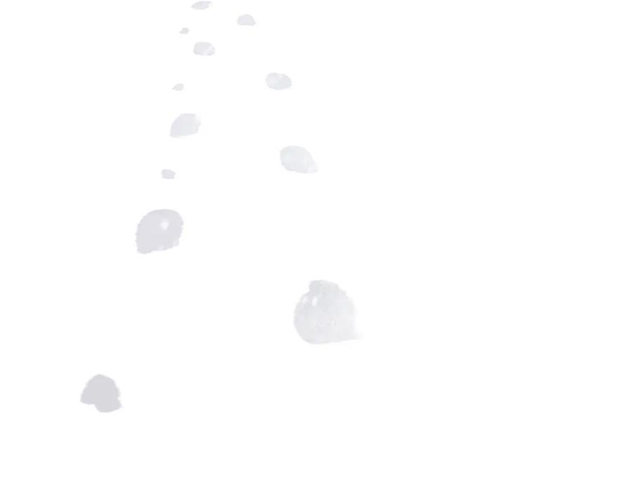 54.jpg