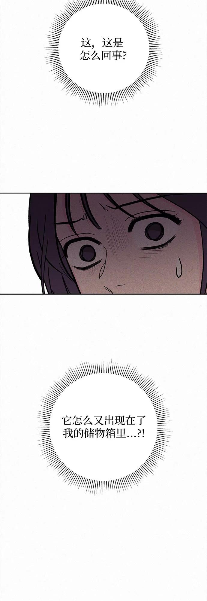 100.jpg