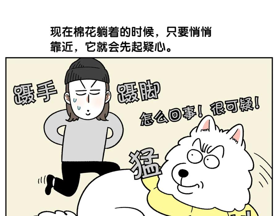 第43话治疗眼病(2)-我的狗子叫棉花-milo+Polarfox（第4张）