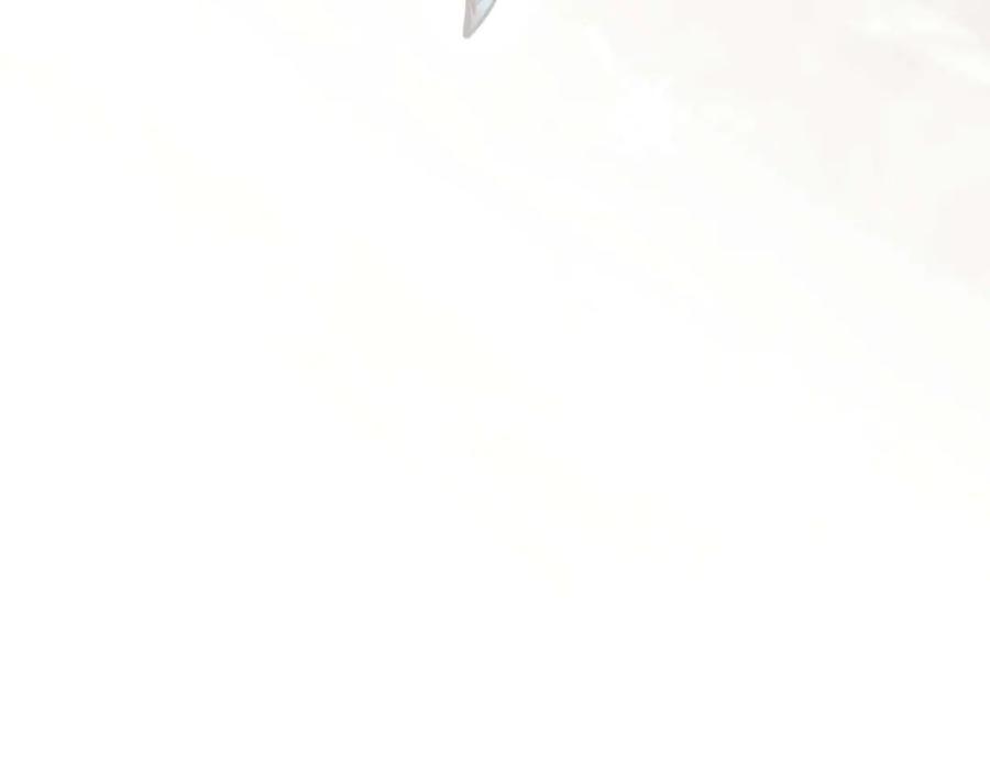 170.jpg