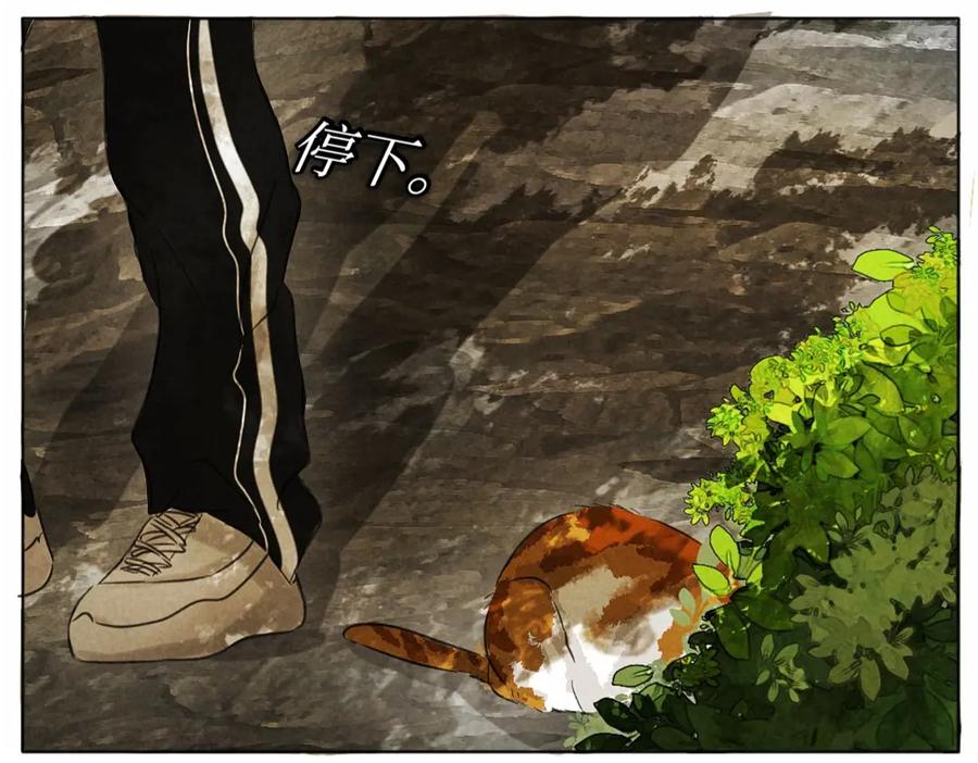 第三话学校午后-乌鸦与麻雀-托托托托托托托托托（第11张）