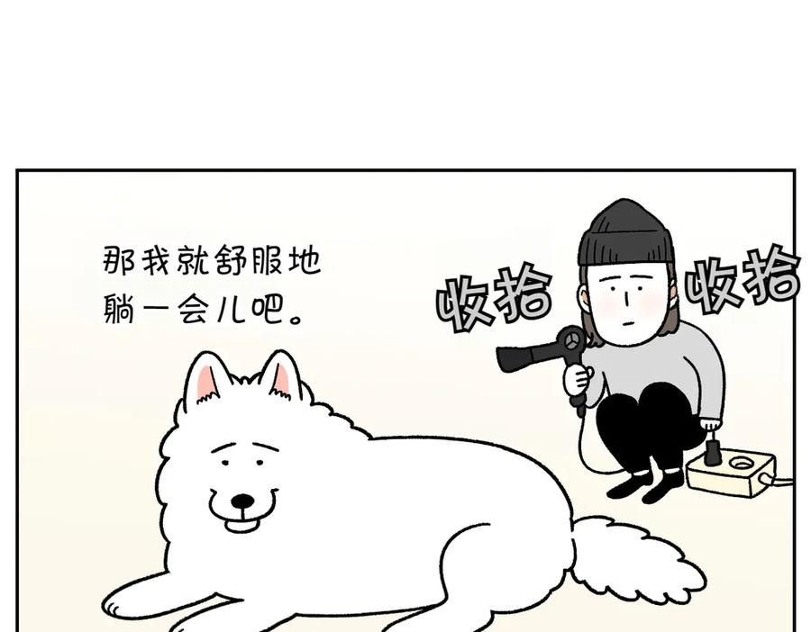 第50话超强风吹干-我的狗子叫棉花-milo+Polarfox（第8张）