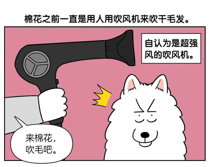 第50话超强风吹干-我的狗子叫棉花-milo+Polarfox（第4张）