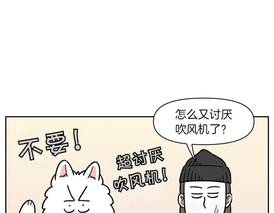第50话超强风吹干-我的狗子叫棉花-milo+Polarfox（第5张）