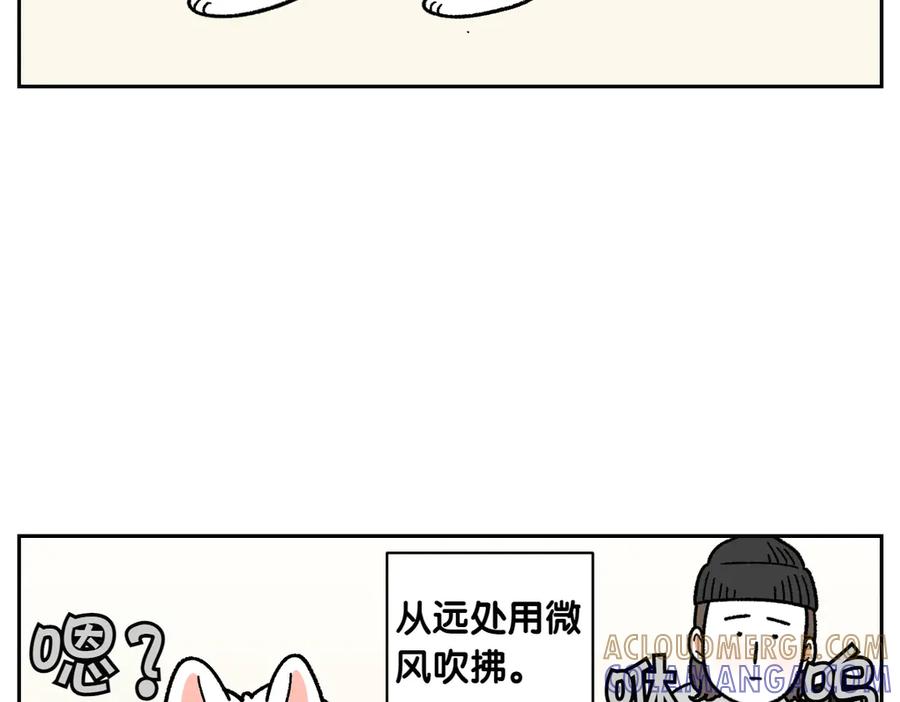 第50话超强风吹干-我的狗子叫棉花-milo+Polarfox（第9张）