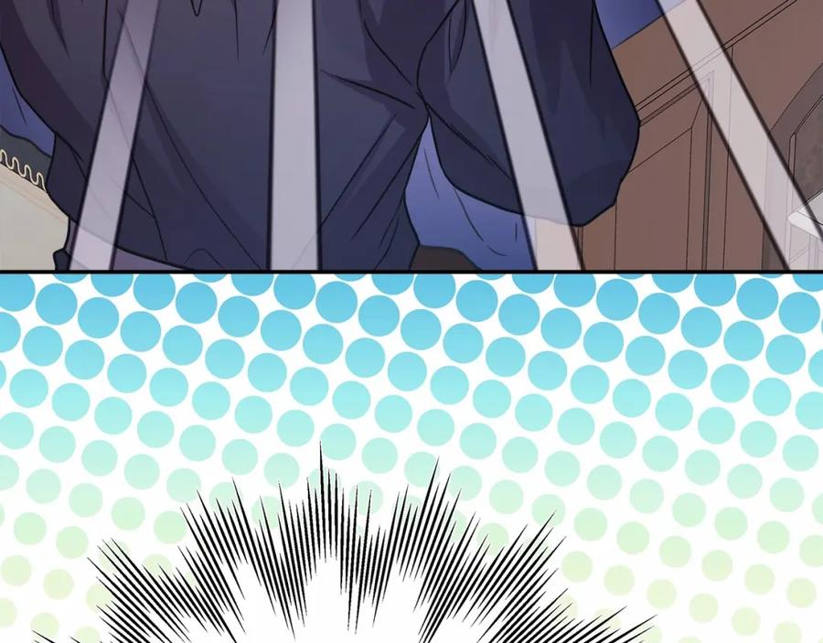 263.jpg