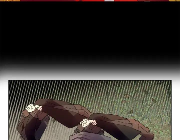 97.jpg