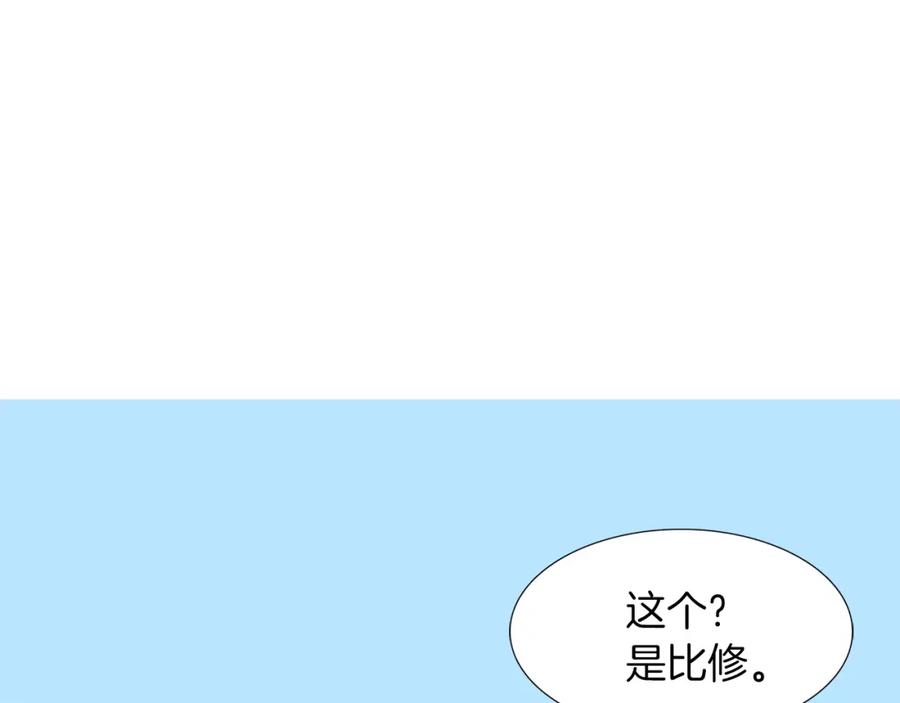 96.jpg