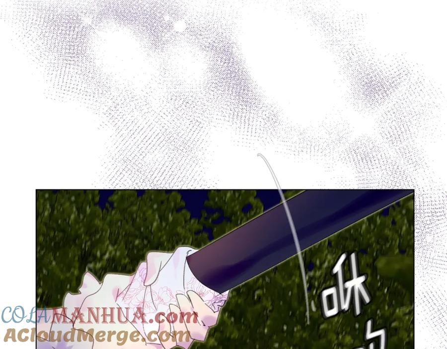 113.jpg