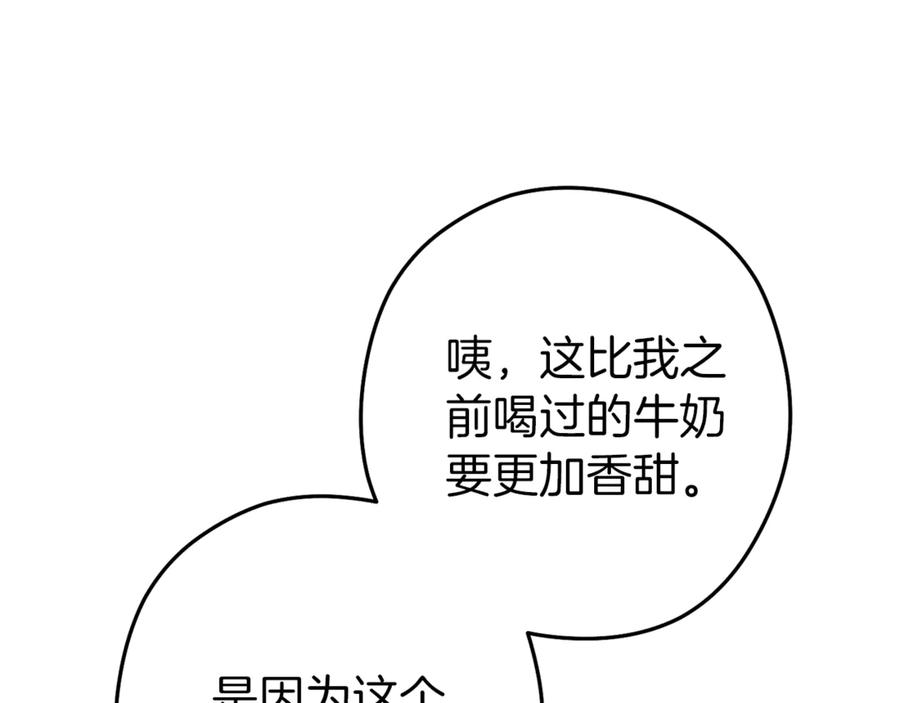 155.jpg