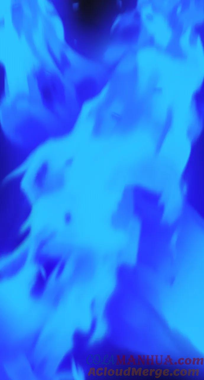 237.jpg
