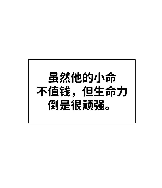 135.jpg