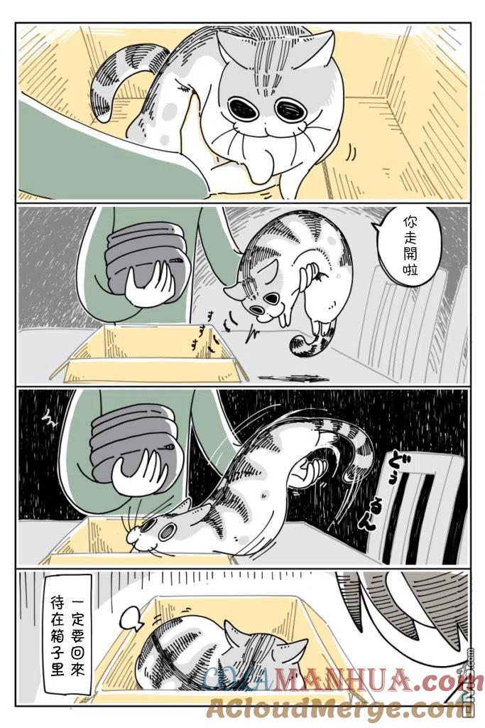 第17话-关于养猫我一直是新手-キュルZ（第2张）
