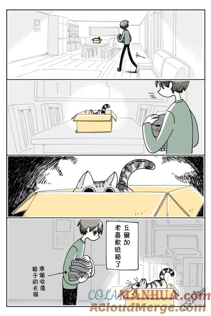 第17话-关于养猫我一直是新手-キュルZ（第1张）